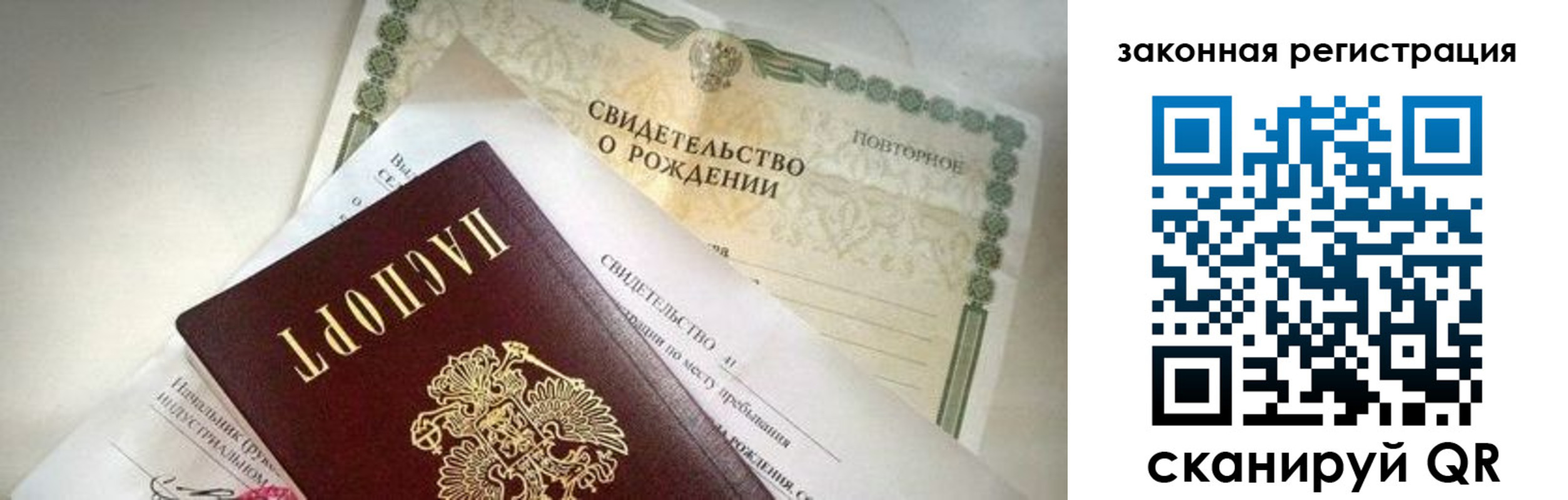прописка поиск в Курской области